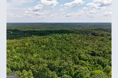 0 Highway 42, Forsyth, GA 31029 - Photo 12