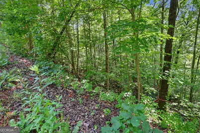 0 Waterfall Drive 5D, Clayton, GA 30525 - Photo 4