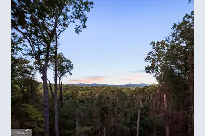 103 Dry Branch Road, Blue Ridge, GA 30513 - Photo 66
