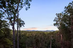 103 Dry Branch Trail, Blue Ridge, GA 30513 - Photo 66