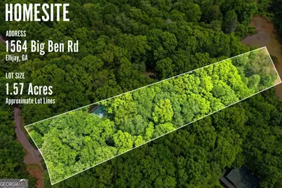 1564 Big Ben Road, Ellijay, GA 30540 - Photo 10