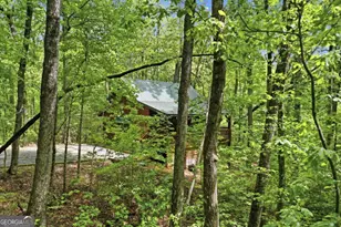 1564 Big Ben Rd, Ellijay, GA 30540 - Photo 60