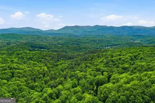 1564 Big Ben Rd, Ellijay, GA 30540 - Photo 42