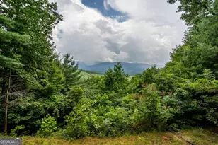 32 Little Amy Creek Trail, Ellijay, GA 30540 - Photo 54