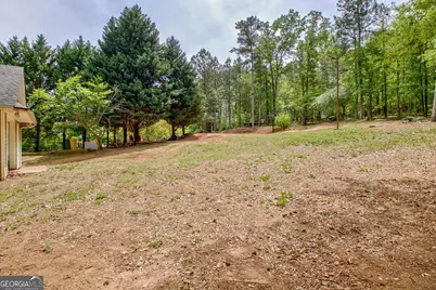 374 Persimmon Drive, Sharpsburg, GA 30277 - Photo 74