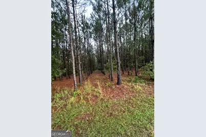 1351 Rogers Road, Glennville, GA 30427 - Photo 2