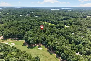 1091 Lockets Trail, Greensboro, GA 30642 - Photo 4
