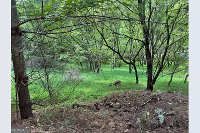 4782 Squirrel Hunting Road, Morganton, GA 30560 - Photo 60