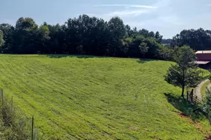 4782 Squirrel Hunting Rd, Morganton, GA 30560 - Photo 68