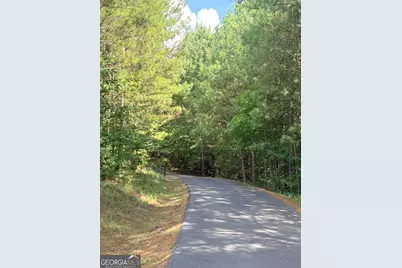 7.725 Ac Slalom Pass, Forsyth, GA 31029 - Photo 12