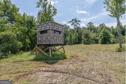0 Nicholson-Carr Road, Chester, GA 31012 - Photo 32