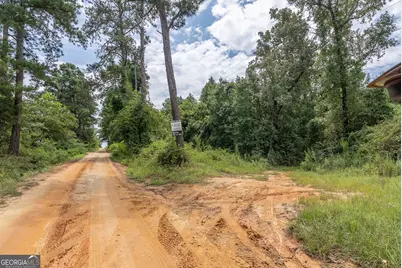 0 Nicholson-Carr Road, Chester, GA 31012 - Photo 24
