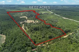 0 Nicholson-Carr Rd, Chester, GA 31012 - Photo 1