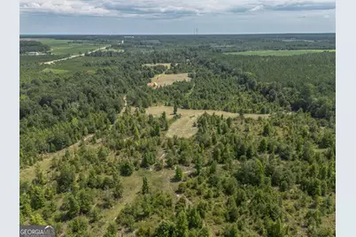 0 Nicholson-Carr Road, Chester, GA 31012 - Photo 16