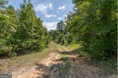 0 Nicholson-Carr Road, Chester, GA 31012 - Photo 34