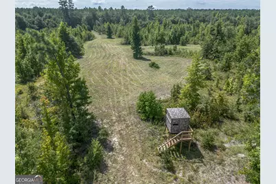 0 Nicholson-Carr Road, Chester, GA 31012 - Photo 20