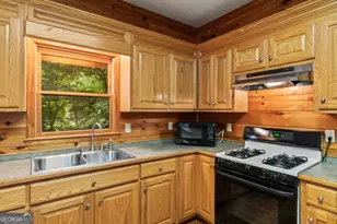 110 Novena Ct, Ellijay, GA 30540 - Photo 42