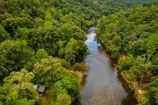 110 Novena Ct, Ellijay, GA 30540 - Photo 48