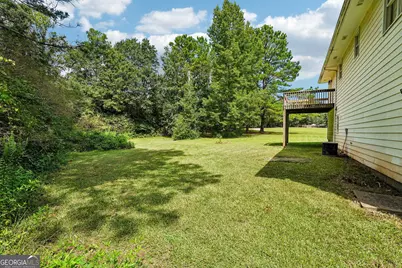 52 Aspen Lake Trace, Newnan, GA 30263 - Photo 42