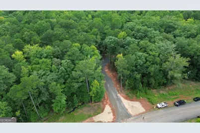 0 Roosevelt Hwy #2, Warm Springs, GA 31830 - Photo 2