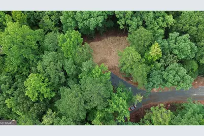 0 Roosevelt Hwy #2, Warm Springs, GA 31830 - Photo 6