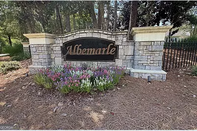 203 Albemarle Lane, Peachtree City, GA 30269 - Photo 60