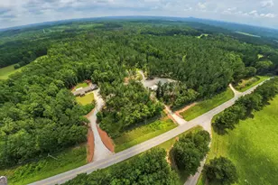 4885 Jacksonville Rd, Buchanan, GA 30113 - Photo 8