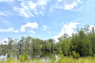 416 Ga Hwy 107, Hazlehurst, GA 31539 - Photo 42