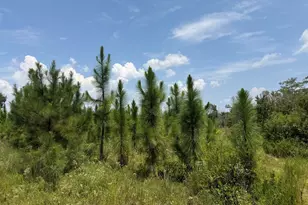 416 Ga Hwy 107, Hazlehurst, GA 31539 - Photo 40