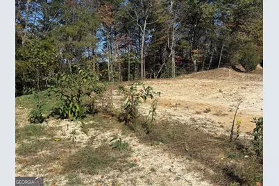 Lot 11 Lindsey Lane, Blue Ridge, GA 30513 - Photo 12