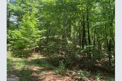 0 Grant Smith, Summit Ridge, Etc., Toccoa, GA 30577 - Photo 4