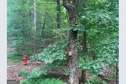 0 Grant Smith, Summit Ridge, Etc., Toccoa, GA 30577 - Photo 8