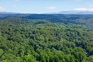 190 26th St, Ellijay, GA 30540 - Photo 26
