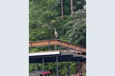 135 Marina Ct, Canton, GA 30114 - Photo 52
