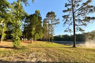 1525 Telfair Line Rd, Rhine, GA 31077 - Photo 58