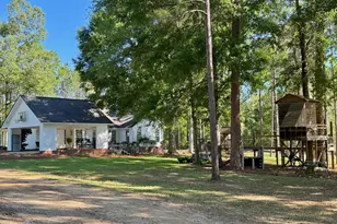 1525 Telfair Line Rd, Rhine, GA 31077 - Photo 56