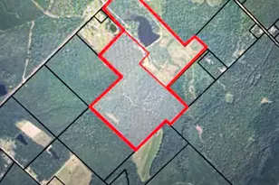 1525 Telfair Line Rd, Rhine, GA 31077 - Photo 22