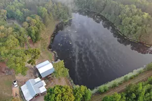1525 Telfair Line Rd, Rhine, GA 31077 - Photo 16