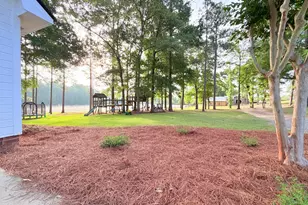 1525 Telfair Line Rd, Rhine, GA 31077 - Photo 52