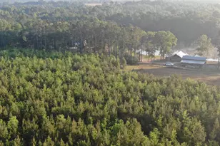 1525 Telfair Line Rd, Rhine, GA 31077 - Photo 78