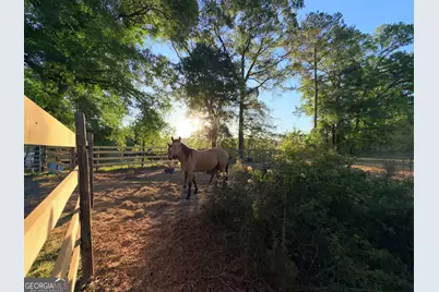 1525 Telfair Line Road, Rhine, GA 31077 - Photo 60