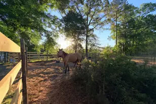1525 Telfair Line Rd, Rhine, GA 31077 - Photo 60