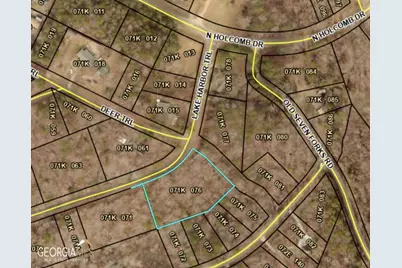 99 Lake Harbor Trail #LOTS 309-312, Martin, GA 30557 - Photo 2