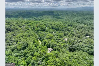 274 Hothouse Drive, Mineral Bluff, GA 30559 - Photo 60