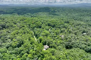 274 Hothouse Dr, Mineral Bluff, GA 30559 - Photo 60