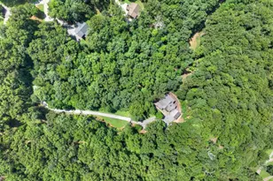 274 Hothouse Dr, Mineral Bluff, GA 30559 - Photo 58