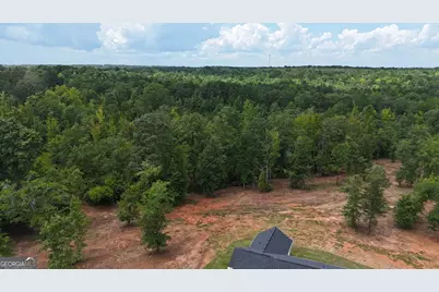 331 Andrews Mill Road, Greenville, GA 30222 - Photo 4