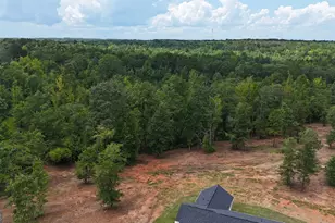 331 Andrews Mill Rd, Greenville, GA 30222 - Photo 4