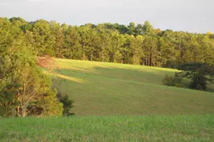 305 Laurel Springs/Opossum, Long Creek, SC 29664 - Photo 2