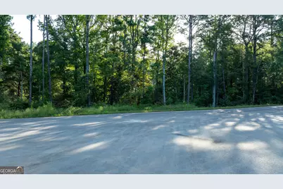 62 &amp; 80 Turin Road, Senoia, GA 30276 - Photo 4